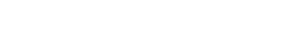visionary minds logo footer